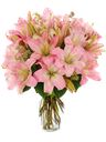 Bouquet di gigli rosa
