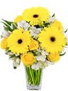 Bouquet giallo e bianco