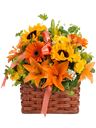 Cestino di fiori colori vivaci