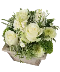 Centrotavola di fiori bianchi