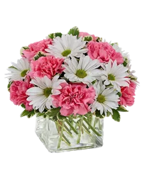 Composizione bianca e rosa